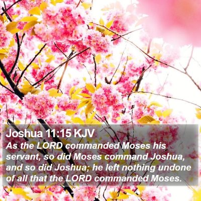 Joshua 11:15 KJV Bible Verse Image