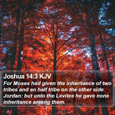 Joshua 14:3 KJV Bible Verse Image