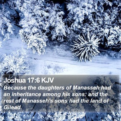 Joshua 17:6 KJV Bible Verse Image