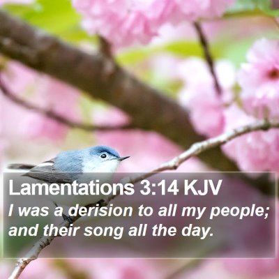 Lamentations 3:14 KJV Bible Verse Image