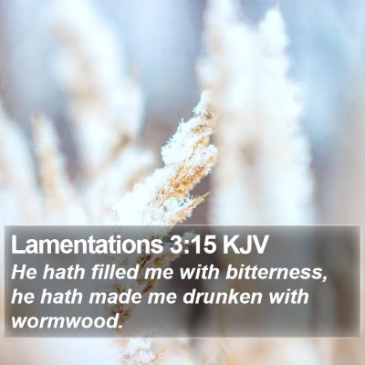 Lamentations 3:15 KJV Bible Verse Image