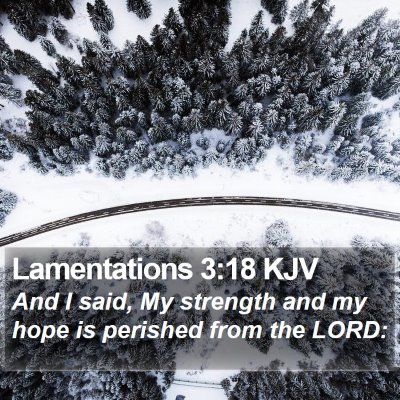 Lamentations 3:18 KJV Bible Verse Image