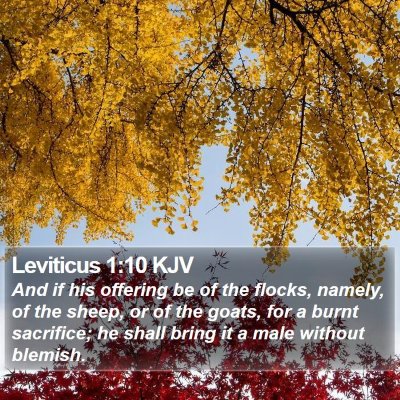 Leviticus 1:10 KJV Bible Verse Image