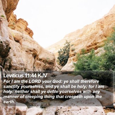 Leviticus 11:44 KJV Bible Verse Image