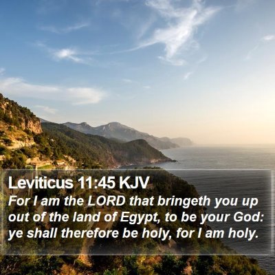 Leviticus 11:45 KJV Bible Verse Image