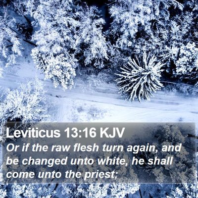 Leviticus 13:16 KJV Bible Verse Image