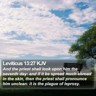 Leviticus 13:27 KJV Bible Verse Image