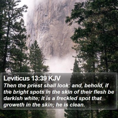 Leviticus 13:39 KJV Bible Verse Image