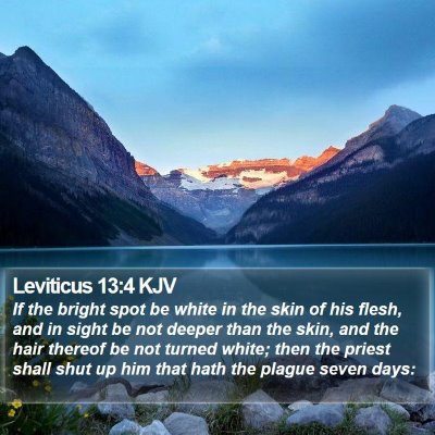 Leviticus 13:4 KJV Bible Verse Image