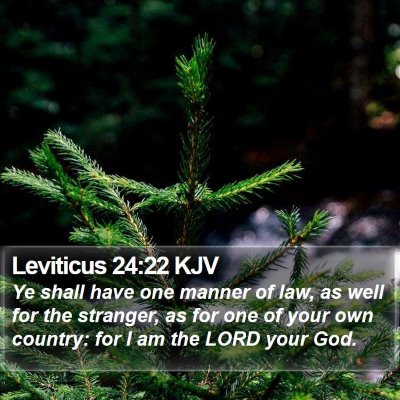 Leviticus 24:22 KJV Bible Verse Image