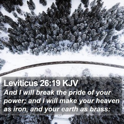 Leviticus 26:19 KJV Bible Verse Image