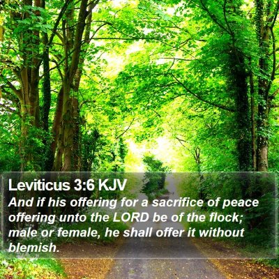 Leviticus 3:6 KJV Bible Verse Image