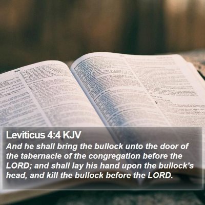 Leviticus 4:4 KJV Bible Verse Image