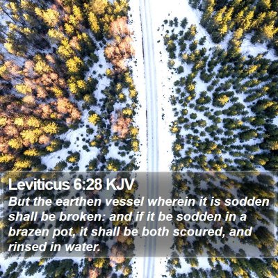 Leviticus 6:28 KJV Bible Verse Image