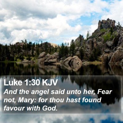 Luke 1:30 KJV Bible Verse Image