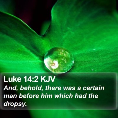 Luke 14:2 KJV Bible Verse Image