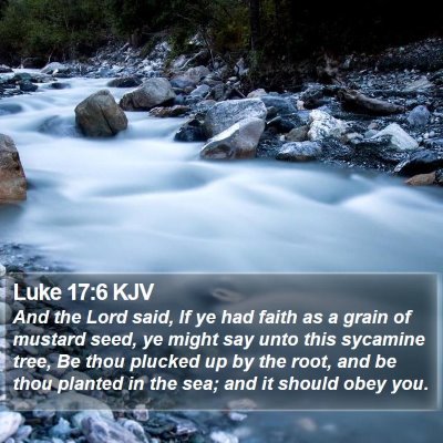 Luke 17:6 KJV Bible Verse Image
