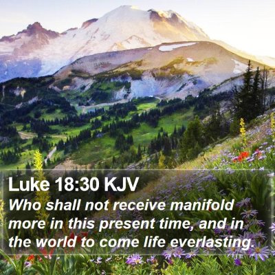 Luke 18:30 KJV Bible Verse Image