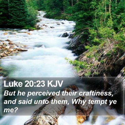 Luke 20:23 KJV Bible Verse Image
