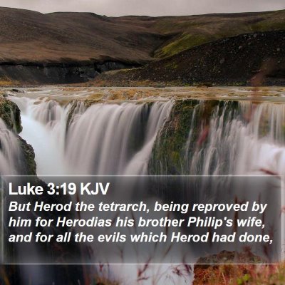 Luke 3:19 KJV Bible Verse Image