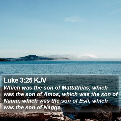 Luke 3:25 KJV Bible Verse Image