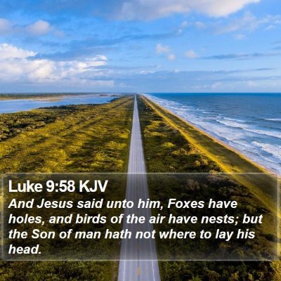 Luke 9:58 KJV Bible Verse Image