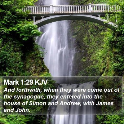 Mark 1:29 KJV Bible Verse Image