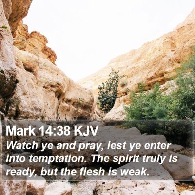 Mark 14:38 KJV Bible Verse Image