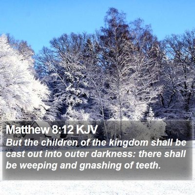 Matthew 8:12 KJV Bible Verse Image