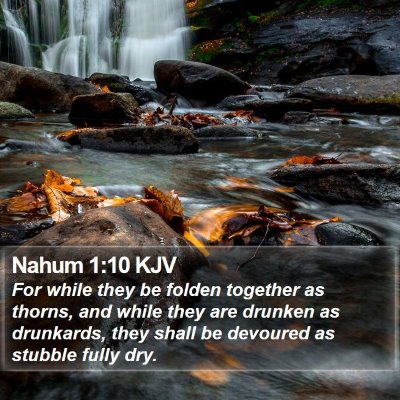 Nahum 1:10 KJV Bible Verse Image