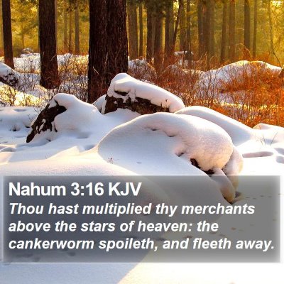 Nahum 3:16 KJV Bible Verse Image
