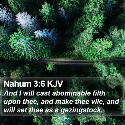 Nahum 3:6 KJV Bible Verse Image