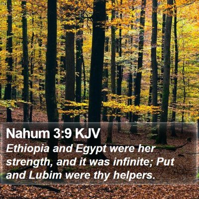 Nahum 3:9 KJV Bible Verse Image