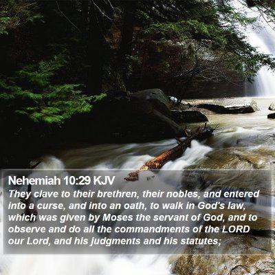 Nehemiah 10:29 KJV Bible Verse Image