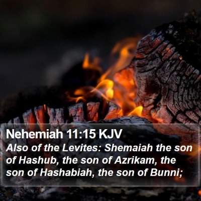 Nehemiah 11:15 KJV Bible Verse Image