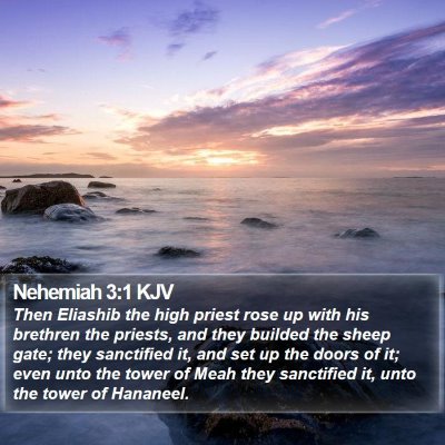 Nehemiah 3:1 KJV Bible Verse Image