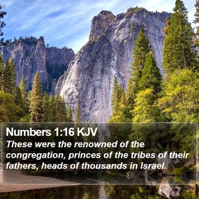 Numbers 1:16 KJV Bible Verse Image