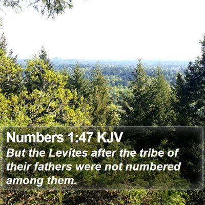Numbers 1:47 KJV Bible Verse Image