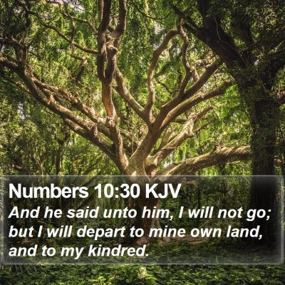 Numbers 10:30 KJV Bible Verse Image