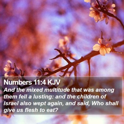 Numbers 11:4 KJV Bible Verse Image