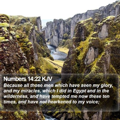 Numbers 14:22 KJV Bible Verse Image