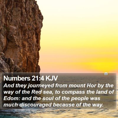 Numbers 21:4 KJV Bible Verse Image