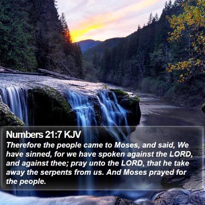 Numbers 21:7 KJV Bible Verse Image
