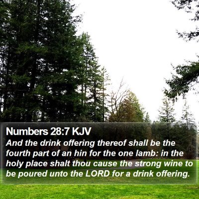 Numbers 28:7 KJV Bible Verse Image