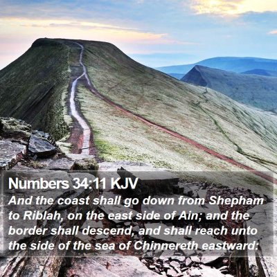 Numbers 34:11 KJV Bible Verse Image