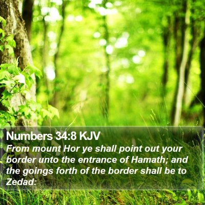 Numbers 34:8 KJV Bible Verse Image