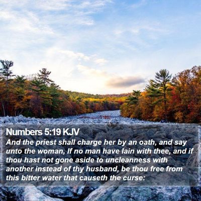 Numbers 5:19 KJV Bible Verse Image