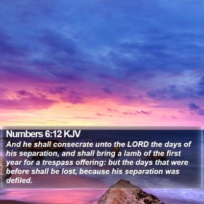Numbers 6:12 KJV Bible Verse Image