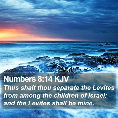 Numbers 8:14 KJV Bible Verse Image