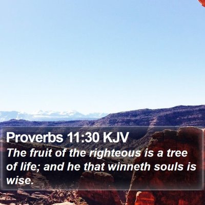 Proverbs 11:30 KJV Bible Verse Image